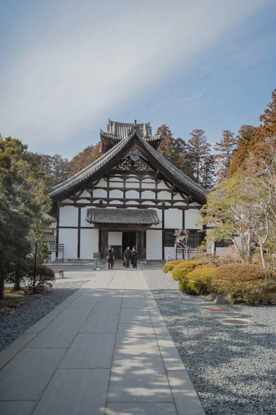 DSC08540.webp