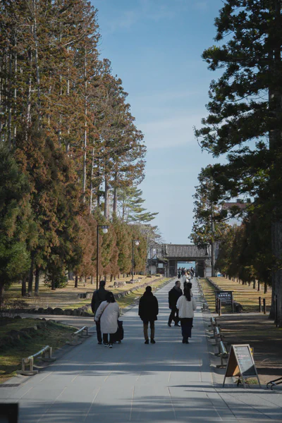 DSC08569.webp
