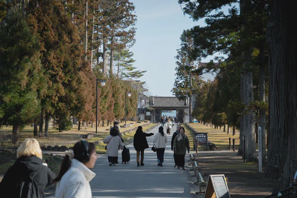 DSC08573.webp