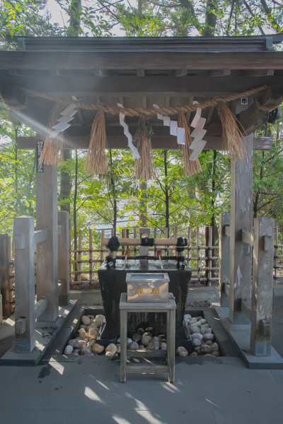 DSC08594.webp