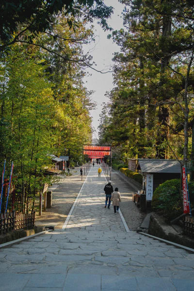 DSC08600.webp