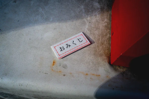 DSC08604.webp