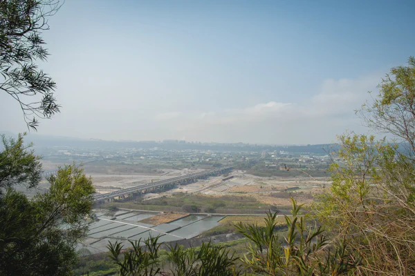 DSC08629.webp