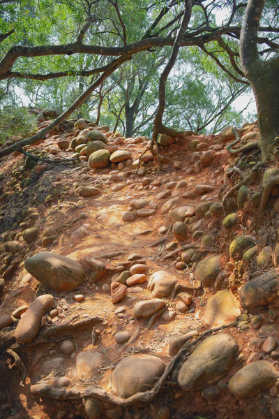 DSC08641.webp