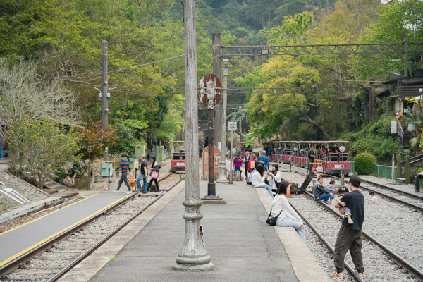 DSC08709.webp