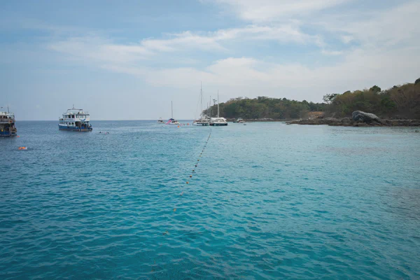 DSC10362.webp