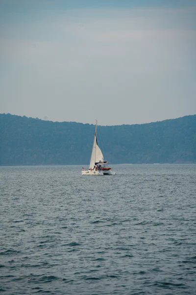 DSC10486.webp