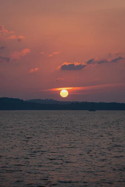 DSC10499.webp