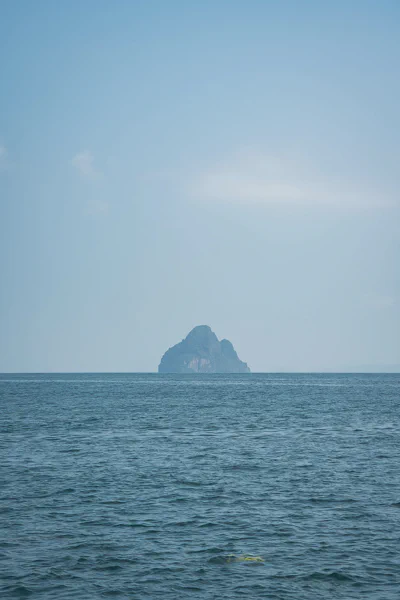DSC10630.webp