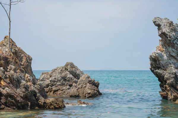 DSC10649.webp