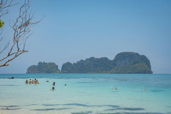 DSC10765.webp