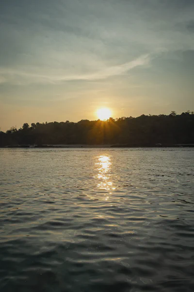DSC11333.webp