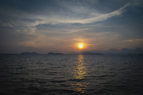 DSC11342.webp